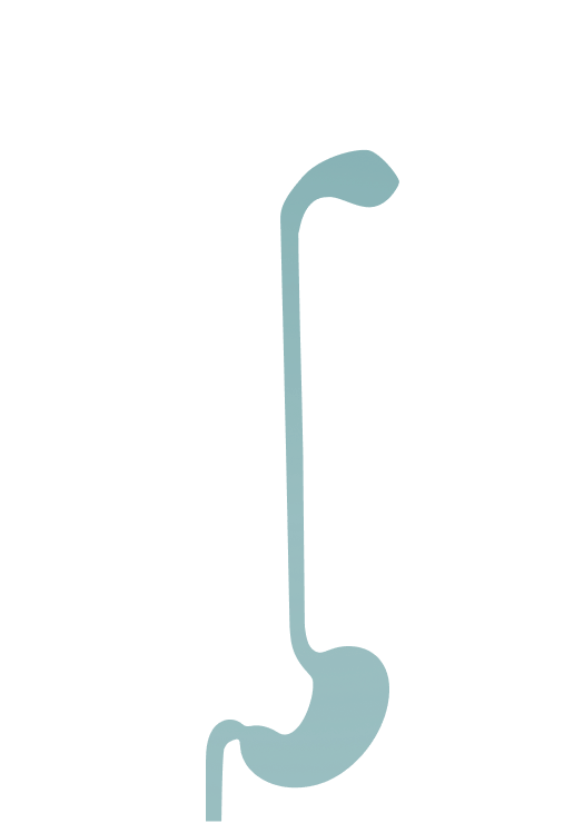 Elemento decorativo