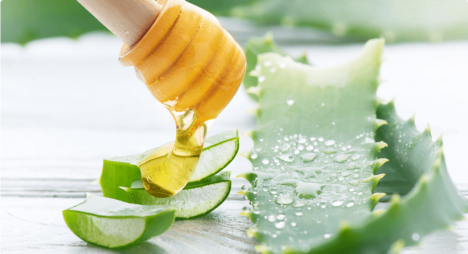 Aloe Vera e Miele: un aiuto nei Disturbi da Reflusso Gastroesofageo