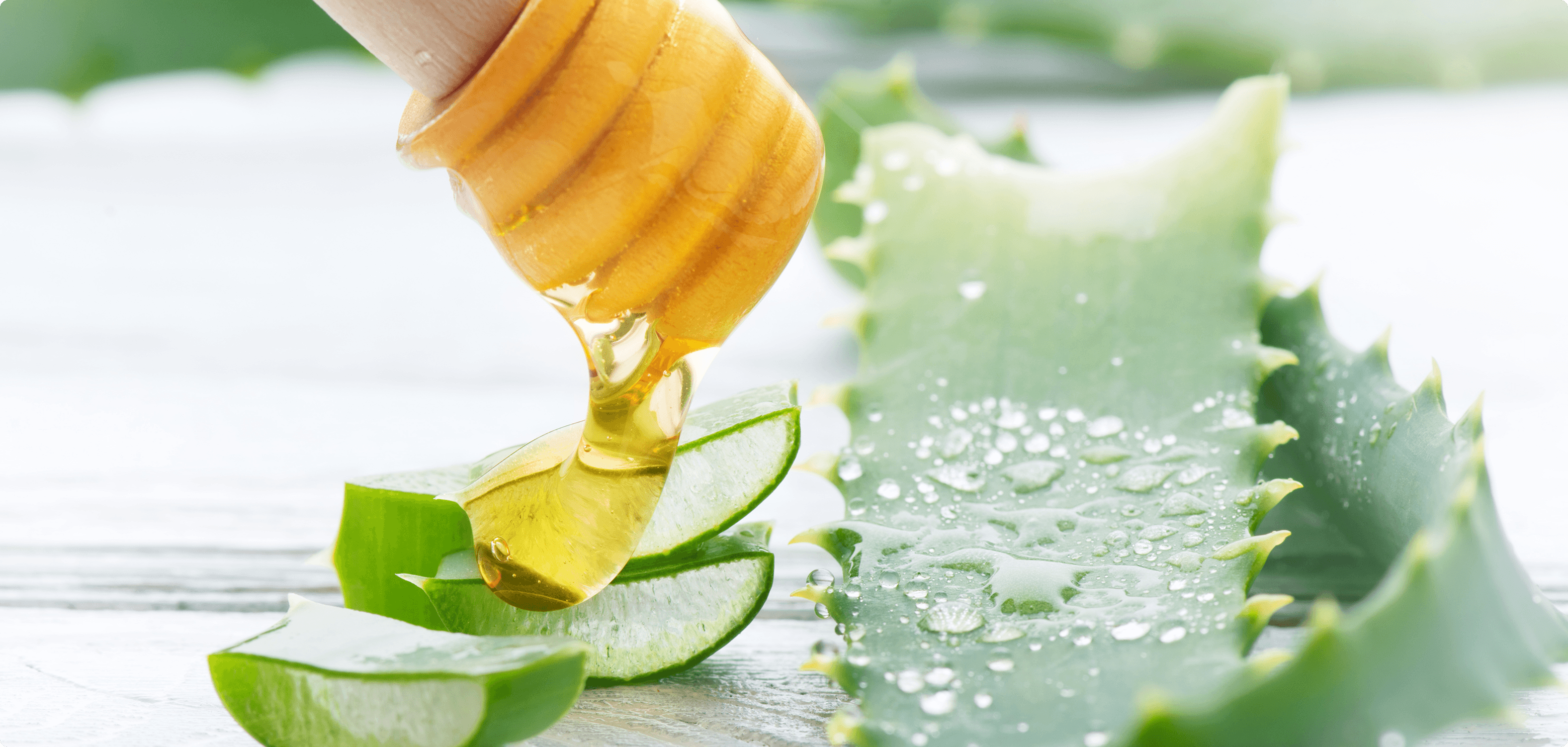 Aloe Vera e Miele: un aiuto nei Disturbi da Reflusso Gastroesofageo